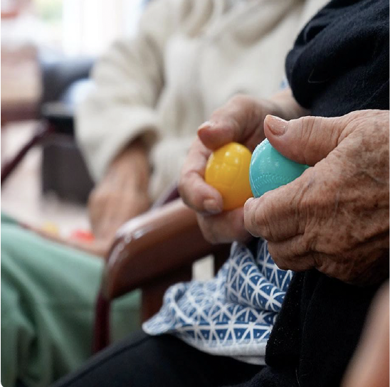 captura de pantalla 2026 01 13 a la(s) 11.56.55 a.m.